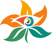 wecureblindness.org